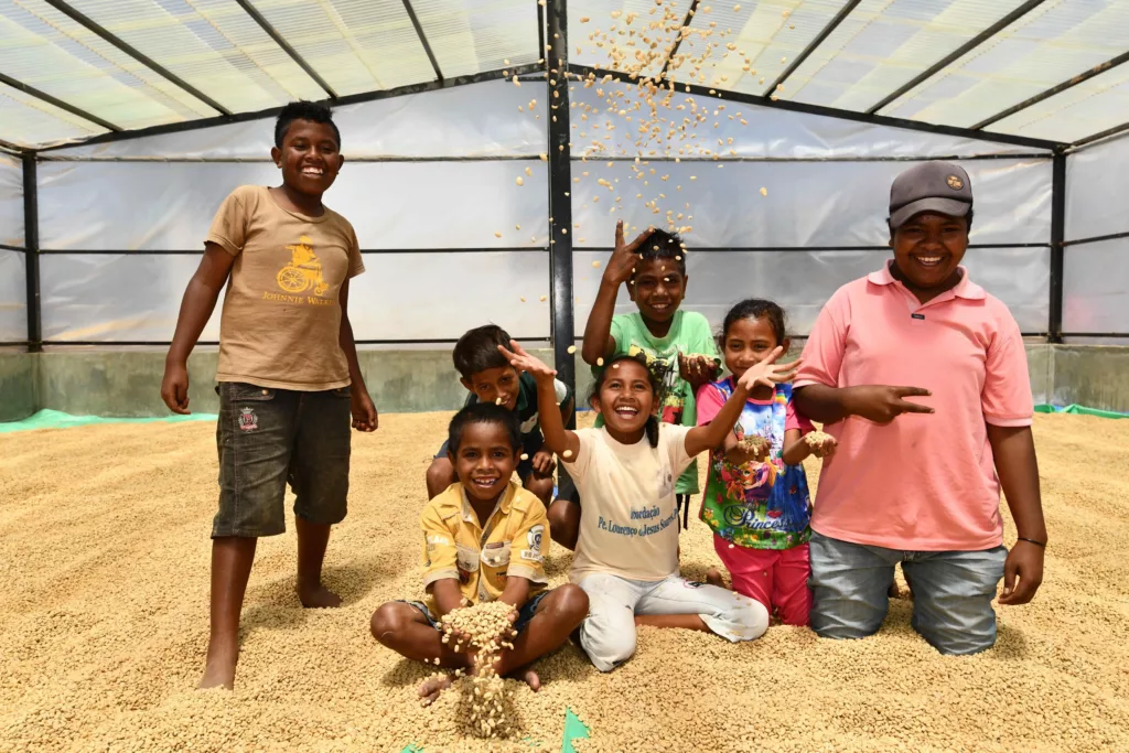 Droogfaciliteit voor de gewassen koffie in Oost-Timor